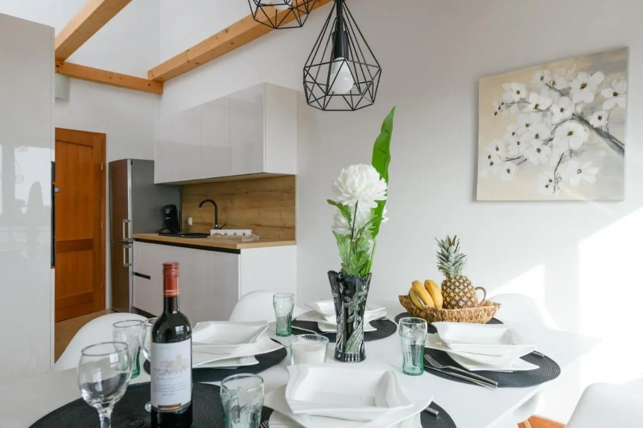 Apartman D&S Apartment Liznjan